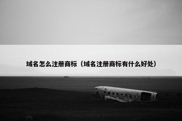 域名怎么注册商标（域名注册商标有什么好处）