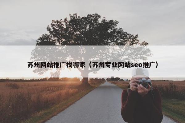 苏州网站推广找哪家（苏州专业网站seo推广）
