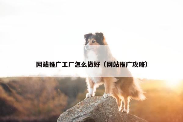 网站推广工厂怎么做好（网站推广攻略）