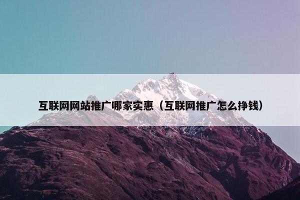 互联网网站推广哪家实惠（互联网推广怎么挣钱）
