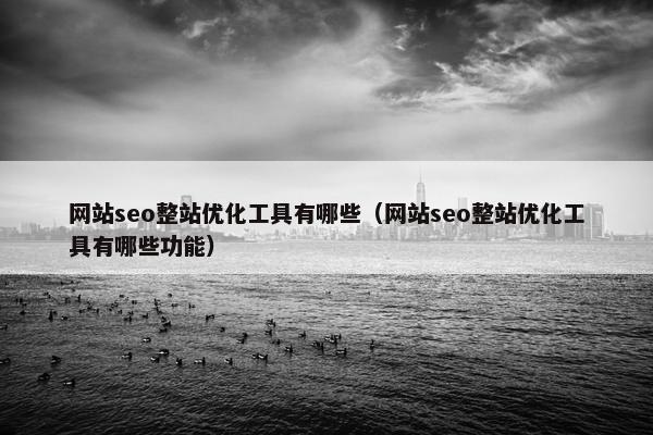 网站seo整站优化工具有哪些（网站seo整站优化工具有哪些功能）