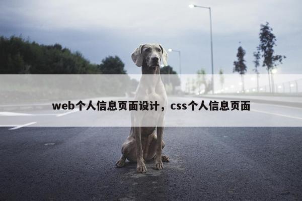 web个人信息页面设计，css个人信息页面