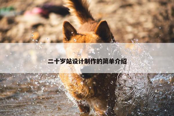 二十岁站设计制作的简单介绍