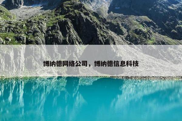 博纳德网络公司，博纳德信息科技