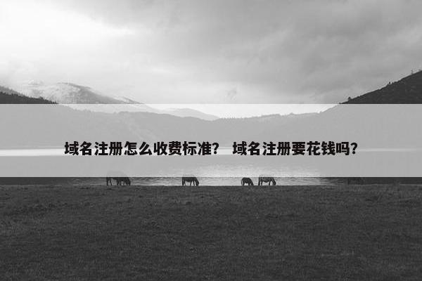 域名注册怎么收费标准？ 域名注册要花钱吗？