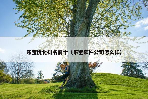 东宝优化排名前十（东宝软件公司怎么样）