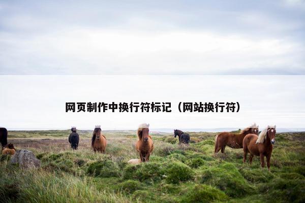 网页制作中换行符标记（网站换行符）