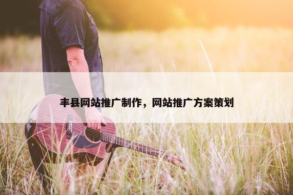 丰县网站推广制作，网站推广方案策划
