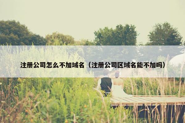 注册公司怎么不加域名（注册公司区域名能不加吗）