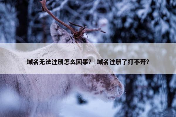 域名无法注册怎么回事？ 域名注册了打不开？