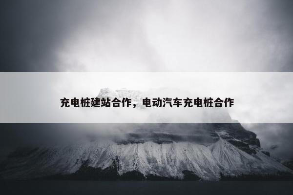 充电桩建站合作，电动汽车充电桩合作