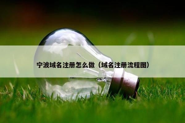 宁波域名注册怎么做（域名注册流程图）