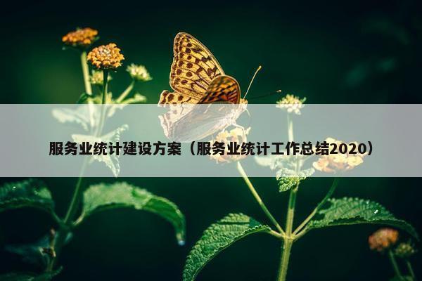 服务业统计建设方案（服务业统计工作总结2020）