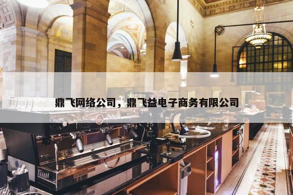 鼎飞网络公司，鼎飞益电子商务有限公司