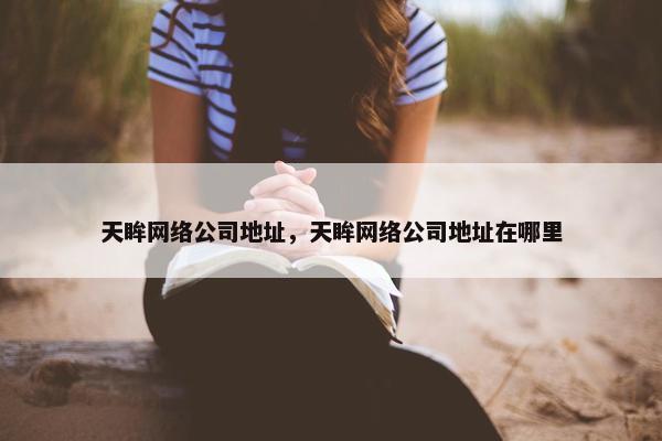 天眸网络公司地址，天眸网络公司地址在哪里