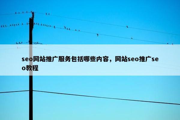 seo网站推广服务包括哪些内容，网站seo推广seo教程