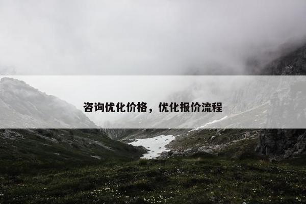 咨询优化价格，优化报价流程