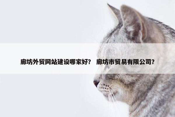 廊坊外贸网站建设哪家好？ 廊坊市贸易有限公司？