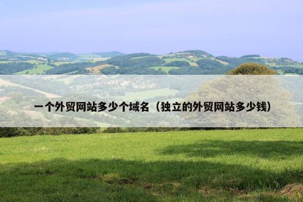 一个外贸网站多少个域名（独立的外贸网站多少钱）