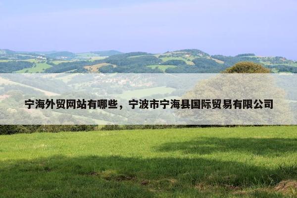 宁海外贸网站有哪些，宁波市宁海县国际贸易有限公司