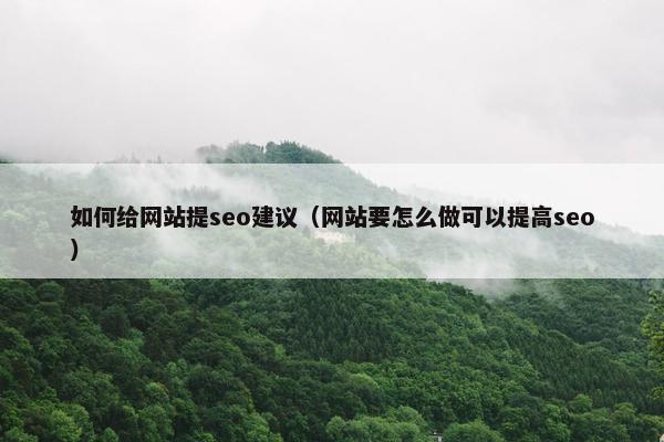如何给网站提seo建议（网站要怎么做可以提高seo）
