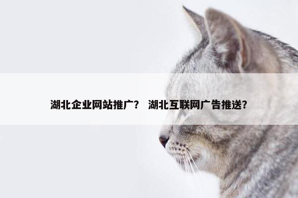 湖北企业网站推广？ 湖北互联网广告推送？