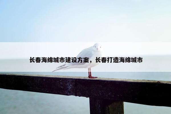 长春海绵城市建设方案，长春打造海绵城市