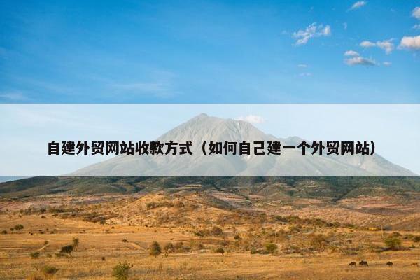 自建外贸网站收款方式（如何自己建一个外贸网站）