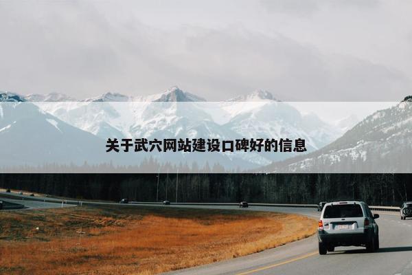 关于武穴网站建设口碑好的信息