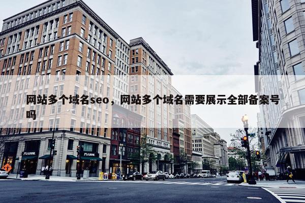 网站多个域名seo，网站多个域名需要展示全部备案号吗