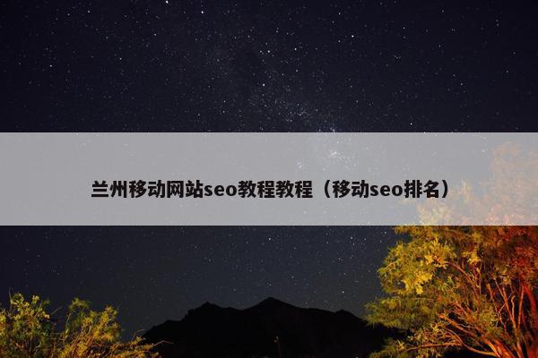 兰州移动网站seo教程教程（移动seo排名）