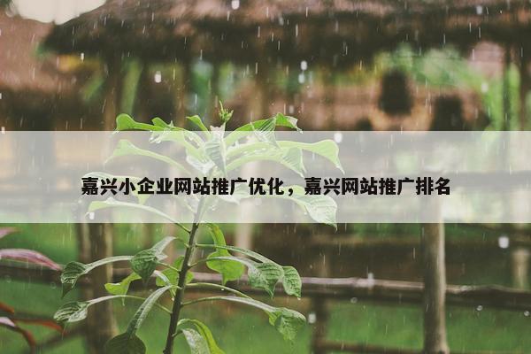 嘉兴小企业网站推广优化，嘉兴网站推广排名