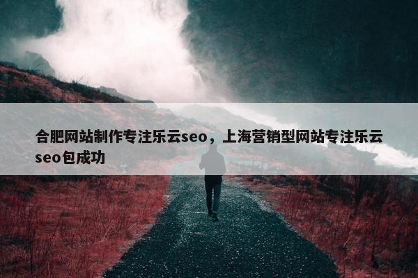 合肥网站制作专注乐云seo，上海营销型网站专注乐云seo包成功