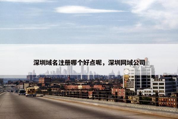 深圳域名注册哪个好点呢，深圳网域公司
