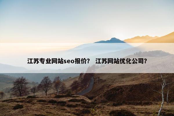 江苏专业网站seo报价？ 江苏网站优化公司？