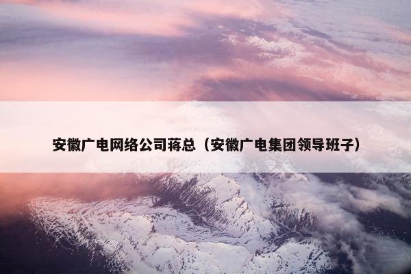安徽广电网络公司蒋总（安徽广电集团领导班子）