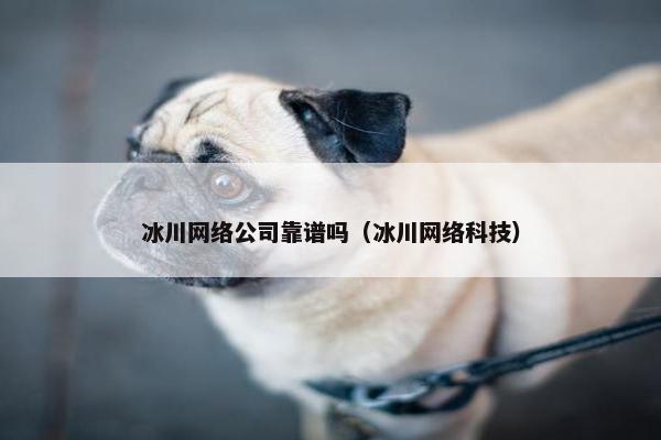 冰川网络公司靠谱吗（冰川网络科技）