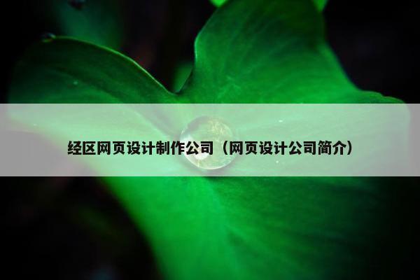 经区网页设计制作公司（网页设计公司简介）