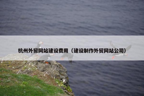 杭州外贸网站建设费用（建设制作外贸网站公司）