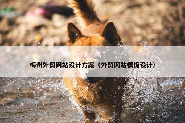 梅州外贸网站设计方案（外贸网站模板设计）