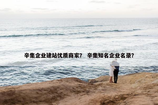 辛集企业建站优质商家？ 辛集知名企业名录？