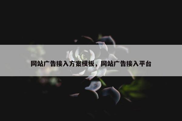 网站广告接入方案模板，网站广告接入平台