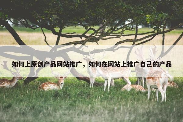 如何上原创产品网站推广，如何在网站上推广自己的产品