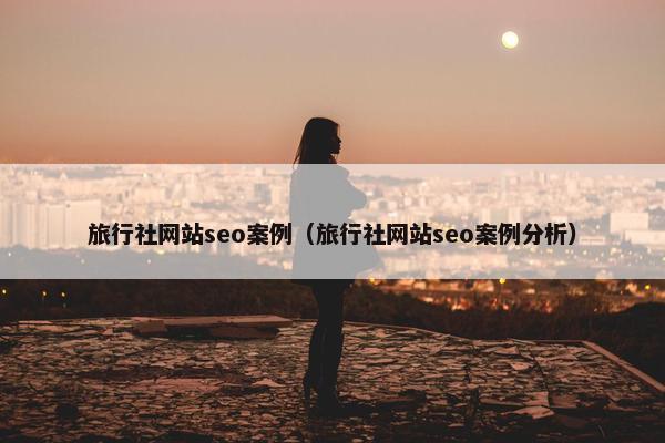 旅行社网站seo案例（旅行社网站seo案例分析）