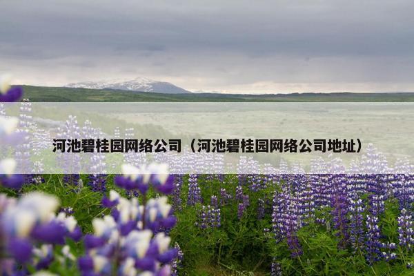 河池碧桂园网络公司（河池碧桂园网络公司地址）