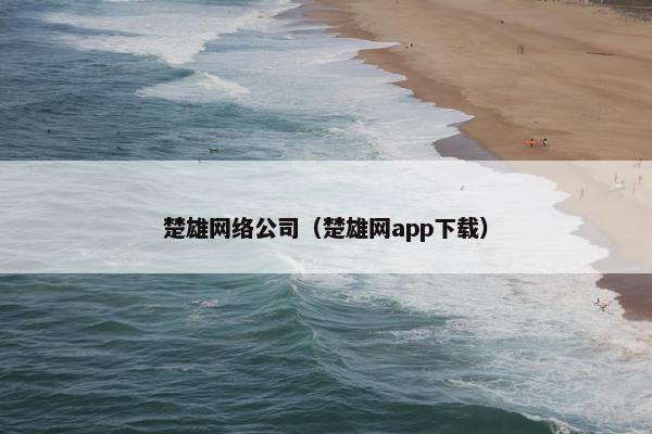 楚雄网络公司（楚雄网app下载）