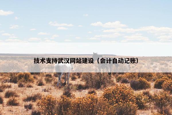 技术支持武汉网站建设（会计自动记账）