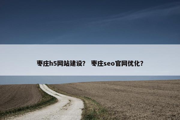 枣庄h5网站建设？ 枣庄seo官网优化？