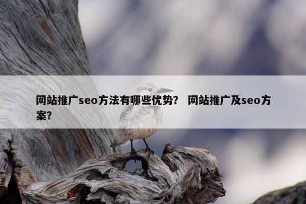 网站推广seo方法有哪些优势？ 网站推广及seo方案？