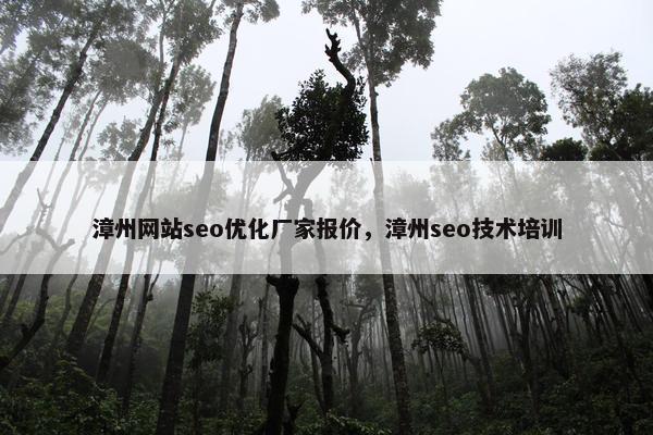 漳州网站seo优化厂家报价，漳州seo技术培训